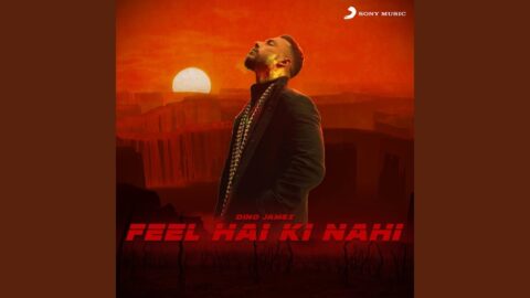 Feel Hai Ki Nahi Rap Lyrics – Dino James