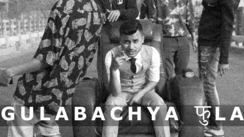 gulabachya-fula-rocksun